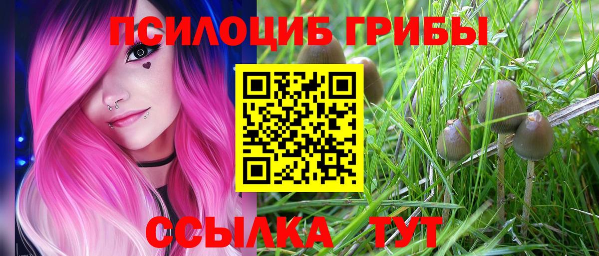 Псилоцибиновые грибы Psilocybine cubensis  Вход с VPN  Псилоцибиновые грибы прущие грибы  Барабинск 
