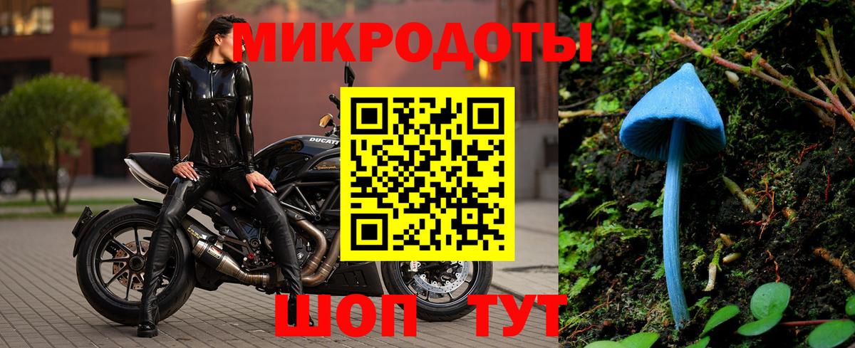 Псилоцибиновые грибы мицелий Барабинск